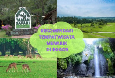 Wow Fantastis! 6 Rekomendasi Wisata di Bogor ini Wajib Dikunjungi, Dijamin Lupa Pulang...