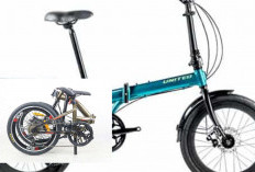 Pertarungan Sepeda Lipat Ajip, United Stylo 20 Vs Tern Link D8, Mana yang Lebih Gahar? Pilih Sesuai Gayamu!