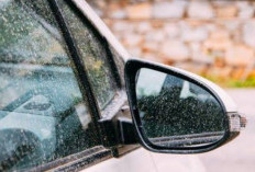 Pusing! Musim Hujan Kaca Mobil Berjamur, Ini 8 Tips Basmi Jamur Tanpa Ke Bengkel...