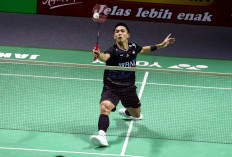 Tunggal Putra Dalam Bahaya! Jojo Tumbang, Tunggal Putra Habis di Indonesia Open 2024