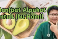 Bumil Tau Gak? 6 Manfaat Buah Alpukat Bagi Ibu Hamil Jika Dikonsumsi Secara Rutin, Cek Disini...