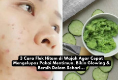 3 Cara Flek Hitam di Wajah Agar Cepat Mengelupas Pakai Mentimun, Bikin Glowing & Bersih Dalam Sehari...