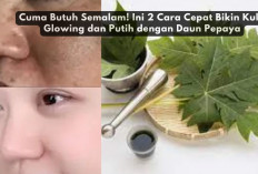 Cuma Butuh Semalam! Ini 2 Cara Cepat Bikin Kulit Glowing dan Putih dengan Daun Pepaya