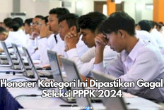 Seleksi PPPK 2024! Kategori Ini Harus Berhenti Melanjutkan Perjuangannya Menjadi ASN, Karena Sudah Pasti Gagal