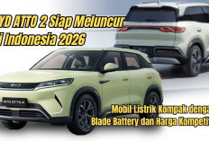 BYD ATTO 2 Siap Meluncur di Indonesia 2026: Mobil Listrik Kompak dengan Blade Battery dan Harga Kompetitif