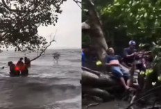 Cuaca Ekstrem! KM Maligano Star Tenggelam di Perairan Muna, 32 Penumpang dan Kru Berhasil Dievakuasi Selamat 