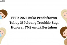 PPPK 2024 Buka Pendaftaran Tahap 3! Peluang Terakhir Bagi Honorer TMS untuk Bertahan