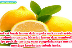 10 Manfaat Luar Biasa Buah Lemon untuk Kesehatan Anda serta cara pengolahannya