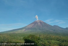 Siaga! Gunung Semeru Meletus Lagi, Semburkan Abu Vulkanik 800 Meter