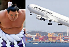 Ingin Hadir Ke Festival Olahraga, Maskapai JAL Batalkan Penerbang Gegara Dipenuhi 27 Atlet Sumo