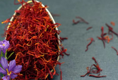 Bukan Cuma Mahal, Ini 6 Manfaat Saffron yang Bikin Kamu Tak Ragu Beli