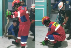 Bikin Merinding, King Kobra 3,5 Meter Masuk Rumah Warga PALI, Untung Penghuni Belum Tidur