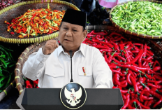Harga Cabai Gila-Gilaan, Prabowo Suruh Rakyat Tanam Sendiri 5 Pot: Netizen Kesal: Kalau Pajak Mahal?