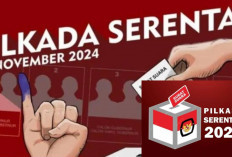 Pantau Hasil Quick Count Pilkada 2024 di Link Resmi KPU, Yuk Cek di Sini!