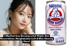 3 Manfaat Susu Beruang untuk Wajah, Bisa Mencerahkan, Menghaluskan Kulit & Bikin Glowing Alami Dalam 3 Hari!