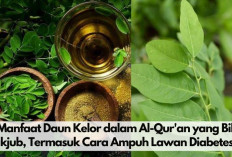 7 Manfaat Daun Kelor dalam Al-Qur'an yang Bikin Takjub, Termasuk Cara Ampuh Lawan Diabetes!