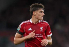 Petaka Leoni, Berkah Bagi Chiesa Masuk Skuad Liga Champions  