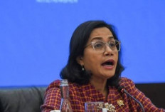 Sri Mulyani Minta Dirjen Pajak Benahi Lagi Sistem Coretax, Ini Alasannya!