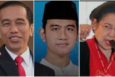 Resmi Cawapres! Beranikah PDI-Perjuangan Pecat Jokowi dan Gibran, Publik Menunggu Murka Megawati?
