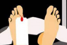 Jasad Perempuan Paruh Baya Ditemukan Mengapung di Anak Kali Ciliwung Jakarta Utara, Begini Kronologinya!