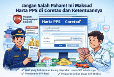 Banyak yang Keliru, Ini Arti Harta PPS di Coretax Lengkap dengan Syarat, Tarif dan Cara Lapor