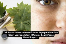 Tak Perlu Skincare Mahal! Daun Pepaya Bikin Flek Hitam Lenyap dalam 1 Malam, Begini Cara Meraciknya...