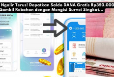 Cuan Ngalir Terus! Dapatkan Saldo DANA Gratis Rp350.000 Sambil Rebahan dengan Mengisi Survei Singkat...