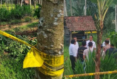 Tragis! Siswi Banyuwangi Ditemukan Tewas Mengenaskan di Kebun, Diduga Dianiaya dan Diperkosa