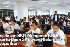 Belum Menerima Kartu Ujian SKD CPNS 2024? Jangan Khawatir, Ini Penjelasan Lengkap Dari BKN