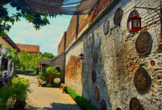 Misteri dan Panorama Rumah Lasem! Telusuri Sejarah dan Rahasia di Balik Dinding-dindingnya