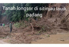 Bencana Alam Tanah Longsor di Sitinjau Lauik Seret 2 Mobil ke Jurang, Gubernur Sumbar Hampir Jadi Korban