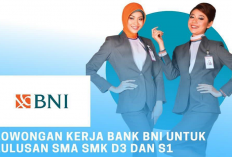 Gajinya UMR Plus Bonus! Bank Ini Buka Program Magang Bina BNI Regional Office 04, Bisa Untuk Lulusan SMA Lho