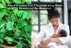 Mau ASI Lancar? Ini 7 Sayuran yang Wajib Dikonsumsi Ibu Menyusui