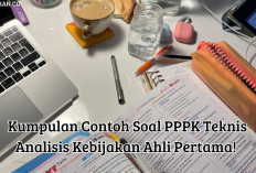 Kumpulan Contoh Soal PPPK Teknis Analisis Kebijakan Ahli Pertama! Ayo Disimak Materinya