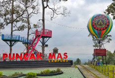 Puas Menikmati Bakso Sony, Lanjut ke Wisata Bukit Bukit Indah di Lampung, Ini 9 Destinasinya