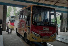 Kesal! Nunggak Biaya Operasional Rp 6 Miliar, Kompak Stop Layanan Bus Transmusi