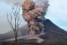 Update! Gunung Dukono di Halmahera Barat Erupsi Dahsyat, Kolom Abu Capai 3.500 Meter, PVMBG Imbau Waspada