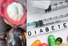 5 Tips Konsumsi Buah Manggis untuk Penderita Diabetes yang Paling Aman, Hati-hati dengan No 3 Gais!