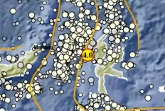 BMKG: Gempa Bumi Magnitudo 4,0 Menggetarkan Jailolo Maluku Utara, yang Berpusat di Laut