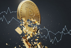 Pemicu Harga Bitcoin Melorot hingga Mencapai Level Terendah dalam 2 Bulan
