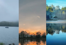 Wisata Alam Hits! Jelajahi Keindahan Situ Patenggang, Cileunca, dan Cisanti di Bandung Raya