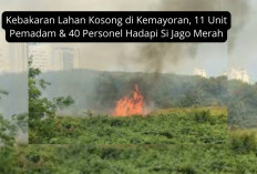 Kebakaran Lahan Kosong di Kemayoran, 11 Unit Pemadam & 40 Personel Hadapi Si Jago Merah