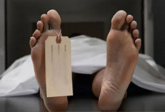 Mayat Perempuan Ditemukan Mengambang di Kali Pesanggrahan, Warga Kebon Jeruk Geger