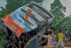 Tragis! Kecelakaan Maut Tol Semarang-Batang, Bus Terjun ke Parit, 7 Penumpang Tewas