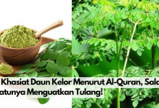 9 Manfaat Daun Kelor Menurut Al Quran, Salah Satunya Menguatkan Tulang, Kuy Kepoin!