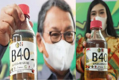 Kado Tahun Baru, BBM Campur Sawit 40% Mulai Berlaku 1 Januari 2025, Pertamina Siapkan 2 Kilang Utama!