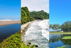 Main di Kebumen? Yuk Jelajahi Pantai Gajah, Menganti, hingga Bopong!