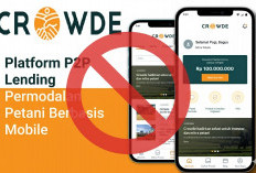 Izin Pinjol Crowde Dicabut, OJK Bongkar Dugaan Pelanggaran Fatal!