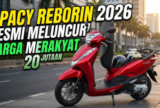 Harga Cuma Rp20 Jutaan Honda Spacy Reborn 2026 Meluncur Jadi Honda Lead 125, Siap Dominasi Skutik Menengah
