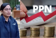 PPN 12 Persen Hanya untuk Barang Mewah, Sri Mulyani Jamin UMKM Tetap Bebas Pajak!